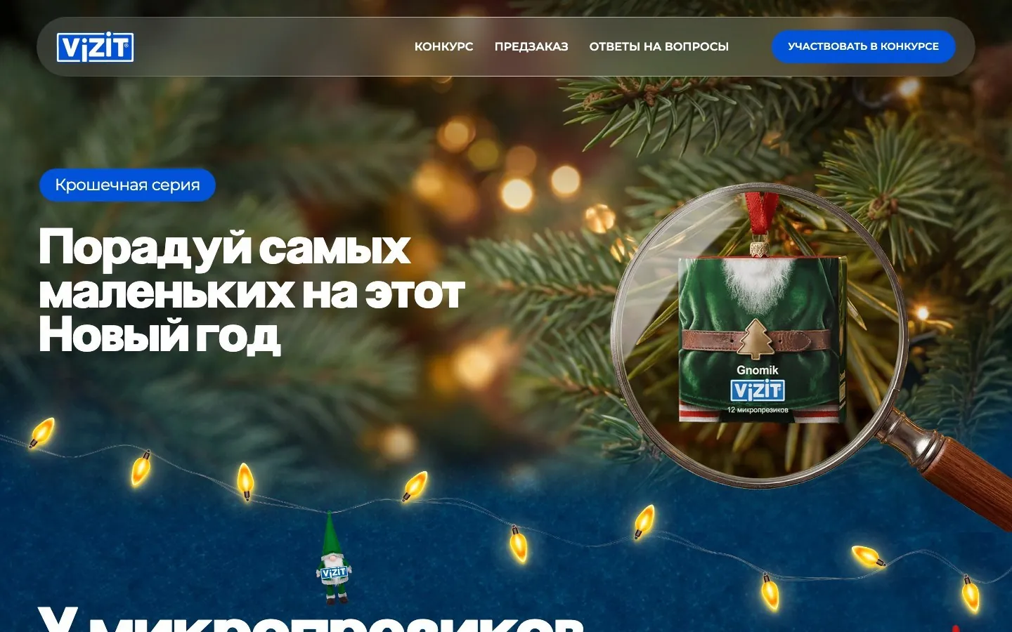VIZIT Gnomik
