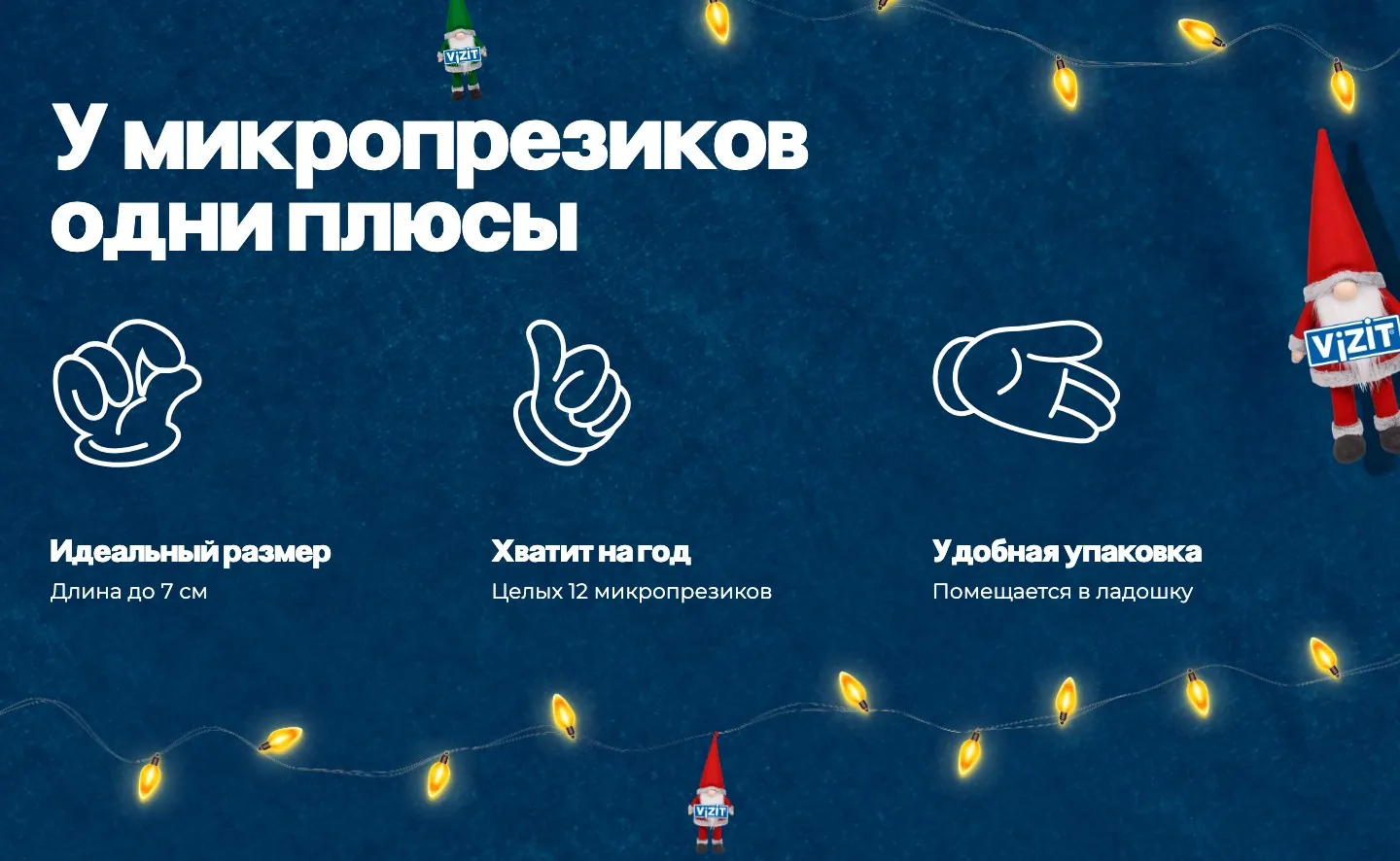 VIZIT Gnomik, экран 1